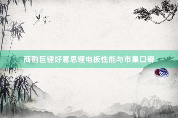 商酌巨锂好意思锂电板性能与市集口碑